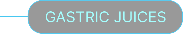 Gastric Juices