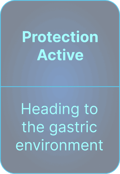 Protection